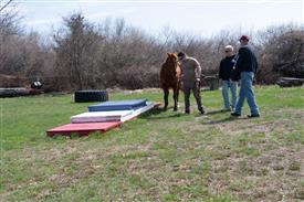 LR-WRF 0402026 Retreat-3393